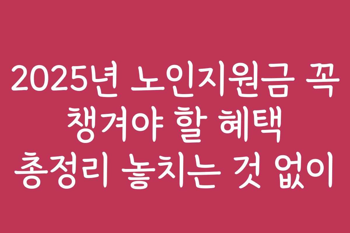 2025년 노인지원금 꼭 챙겨야 할 혜택 총정리 놓치는 것 없이