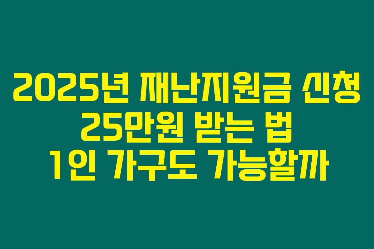 2025년 재난지원금 신청 25만원 받는 법 1인 가구도 가능할까