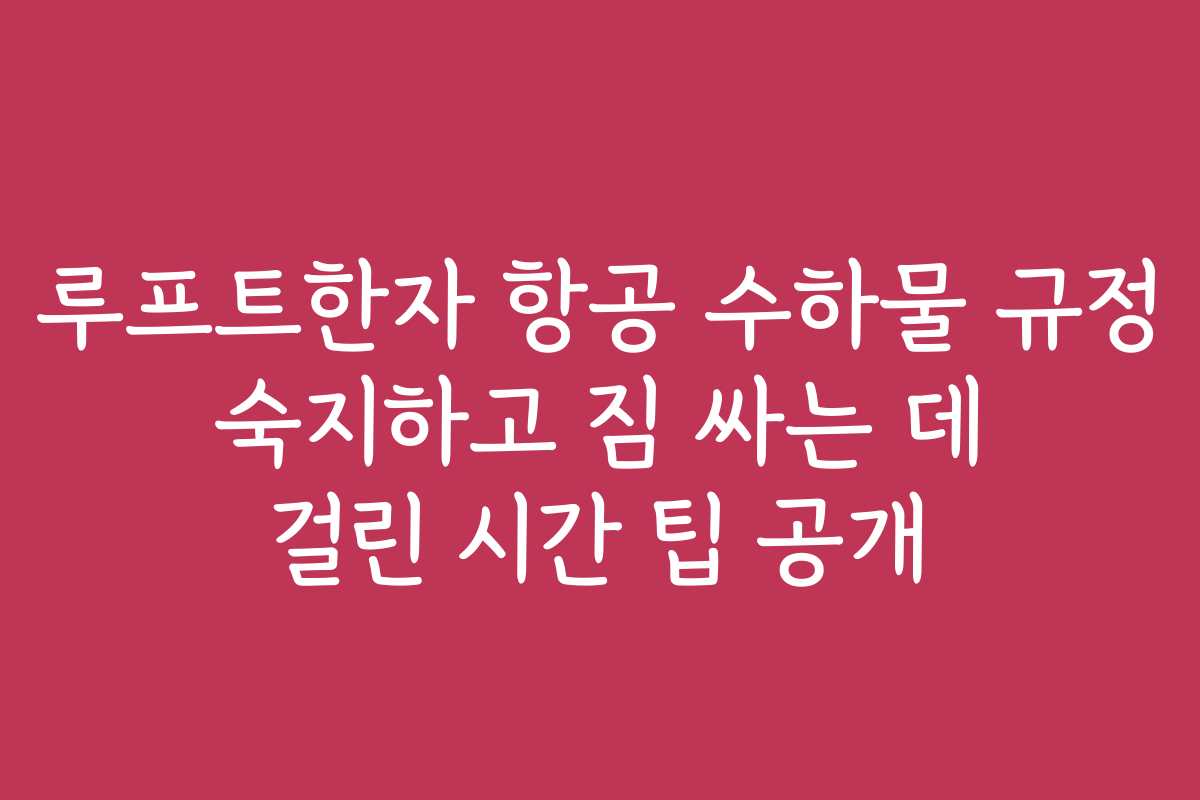 루프트한자 항공 수하물 규정 숙지하고 짐 싸는 데 걸린 시간 팁 공개