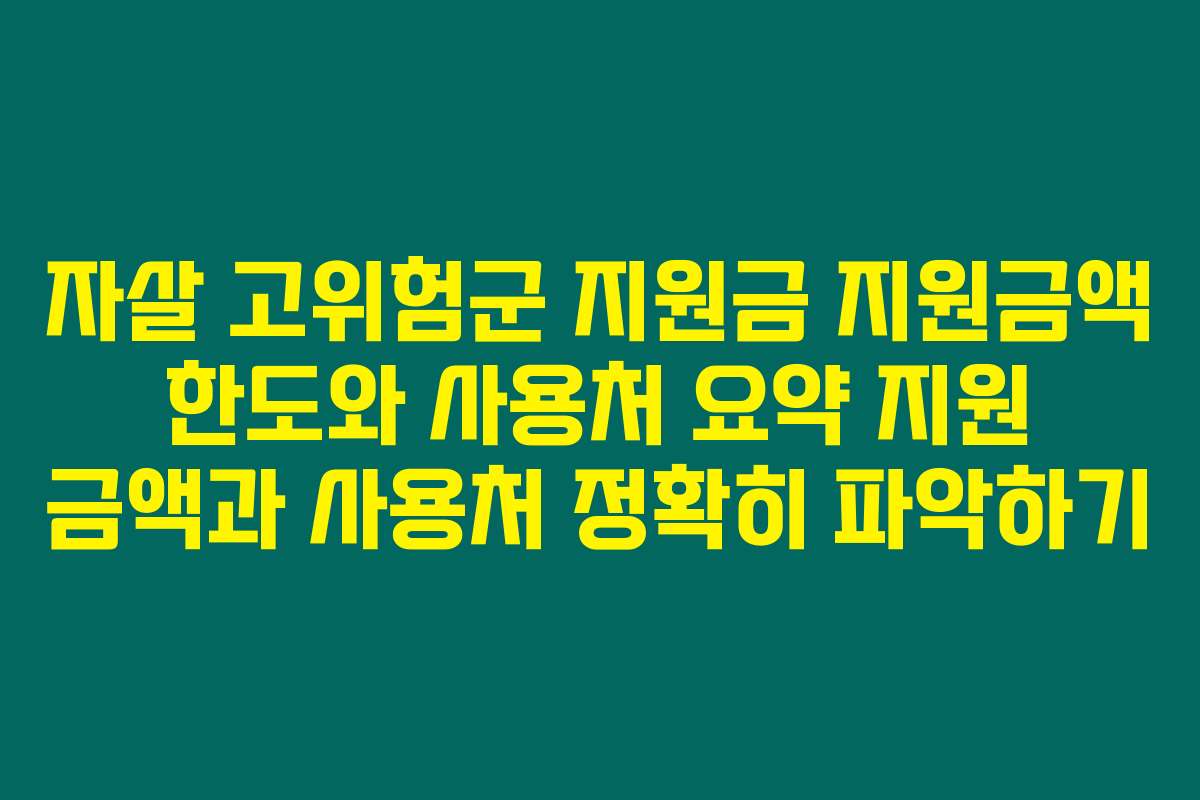 자살 고위험군 지원금 지원금액 한도와 사용처 요약 지원 금액과 사용처 정확히 파악하기