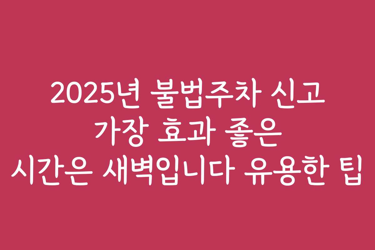 2025년 불법주차 신고 가장 효과 좋은 시간은 새벽입니다 유용한 팁