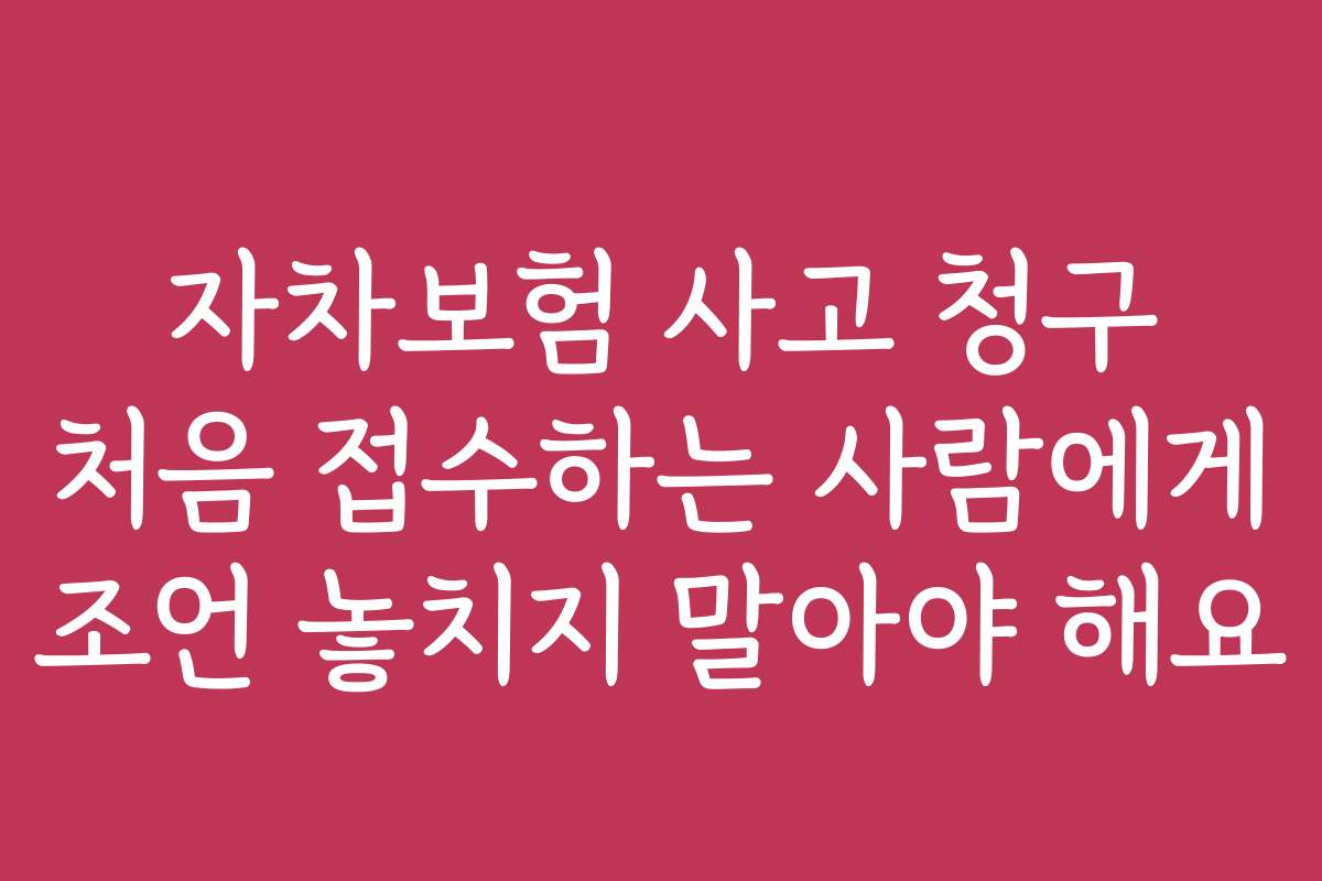 자차보험 사고 청구 처음 접수하는 사람에게 조언 놓치지 말아야 해요