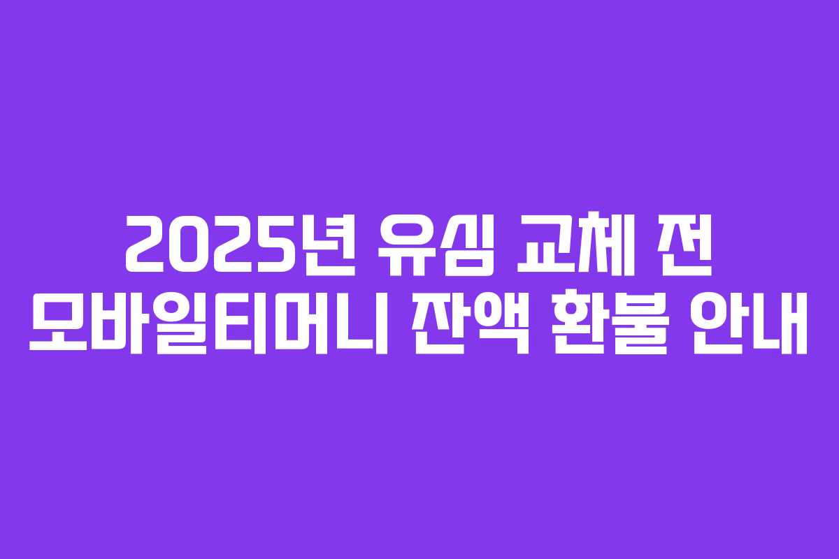 2025년 유심 교체 전 모바일티머니 잔액 환불 안내