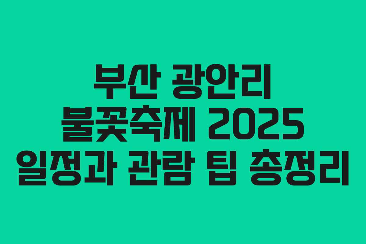 부산 광안리 불꽃축제 2025 일정과 관람 팁 총정리