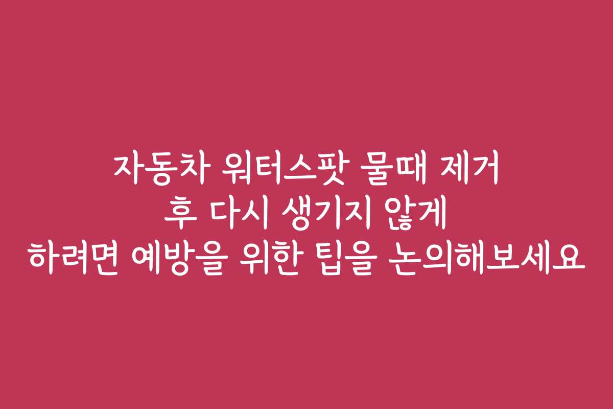 자동차 워터스팟 물때 제거 후 다시 생기지 않게 하려면 예방을 위한 팁을 논의해보세요
