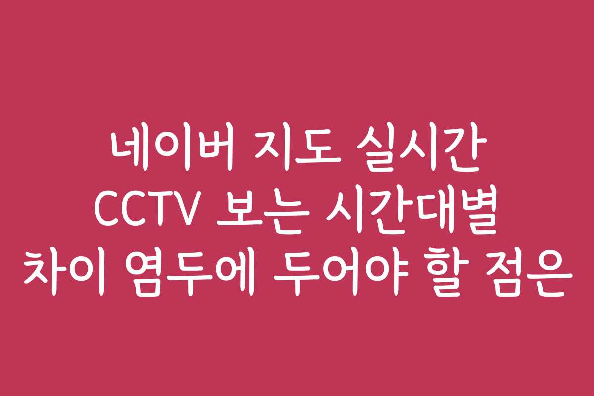 네이버 지도 실시간 CCTV 보는 시간대별 차이 염두에 두어야 할 점은