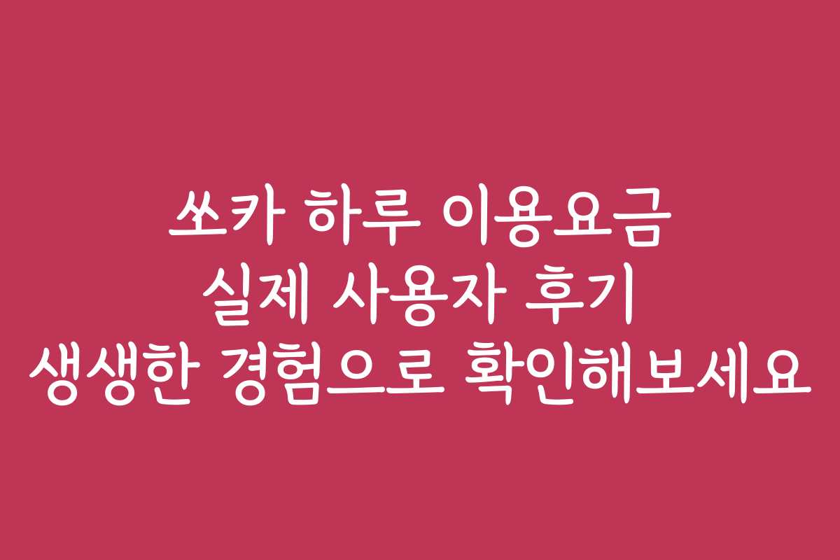쏘카 하루 이용요금 실제 사용자 후기 생생한 경험으로 확인해보세요