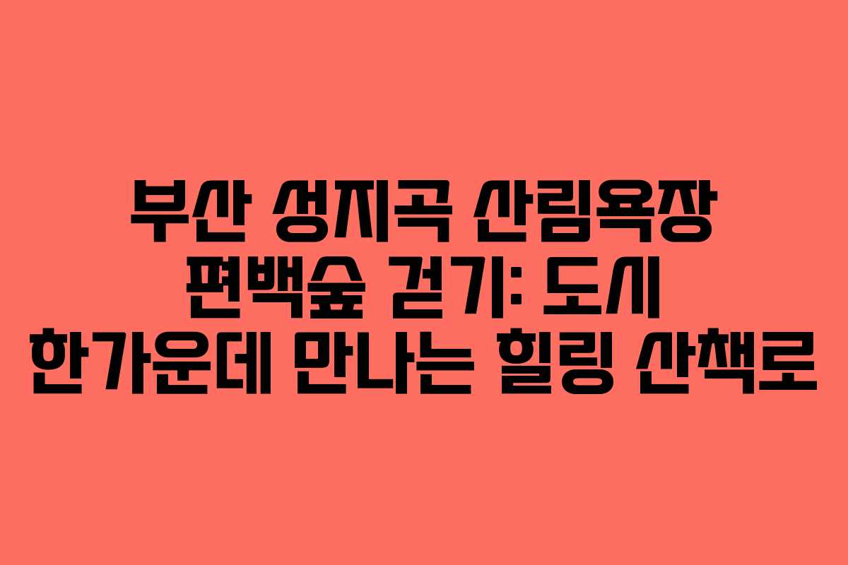 부산 성지곡 산림욕장 편백숲 걷기: 도시 한가운데 만나는 힐링 산책로