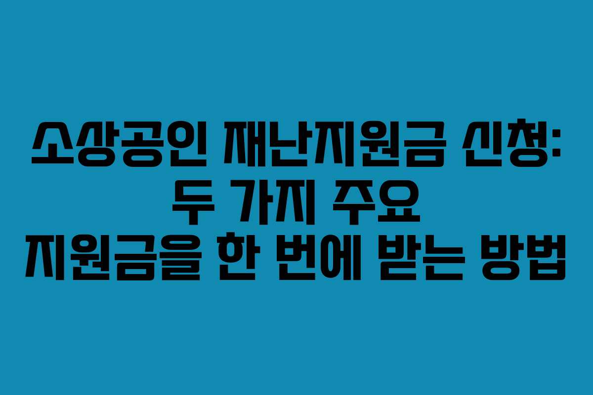 소상공인 재난지원금 신청: 두 가지 주요 지원금을 한 번에 받는 방법
