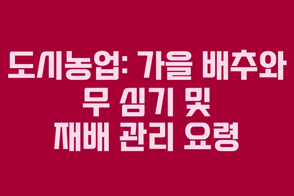 도시농업: 가을 배추와 무 심기 및 재배 관리 요령