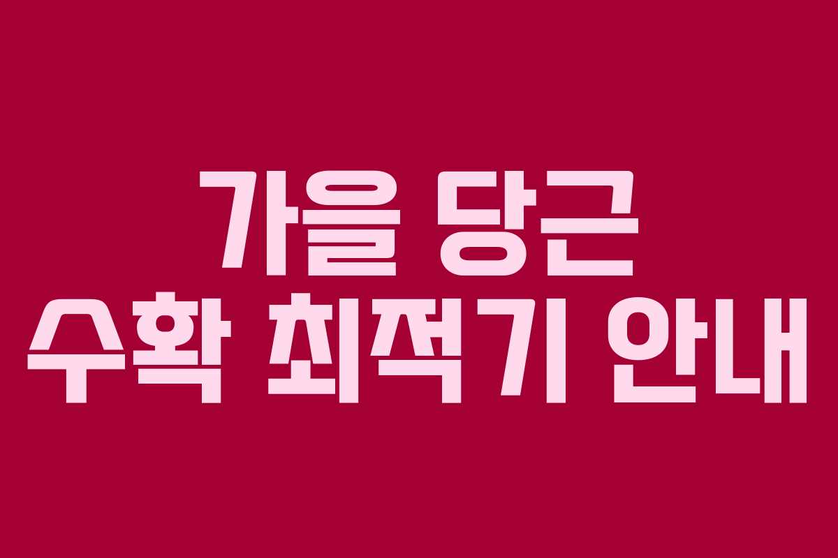가을 당근 수확 최적기 안내