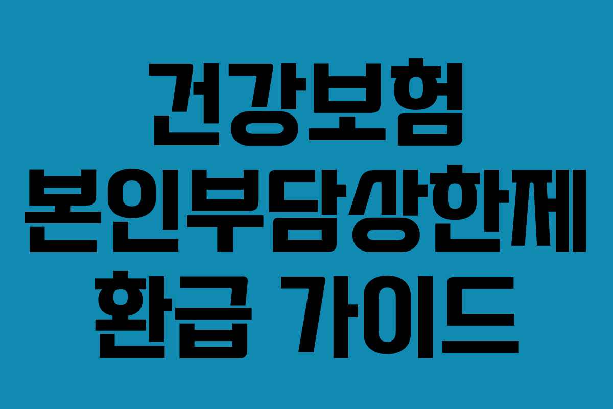 건강보험 본인부담상한제 환급 가이드