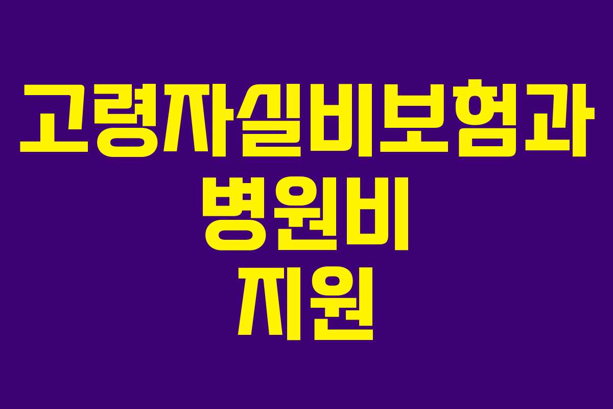 고령자실비보험과 병원비 지원