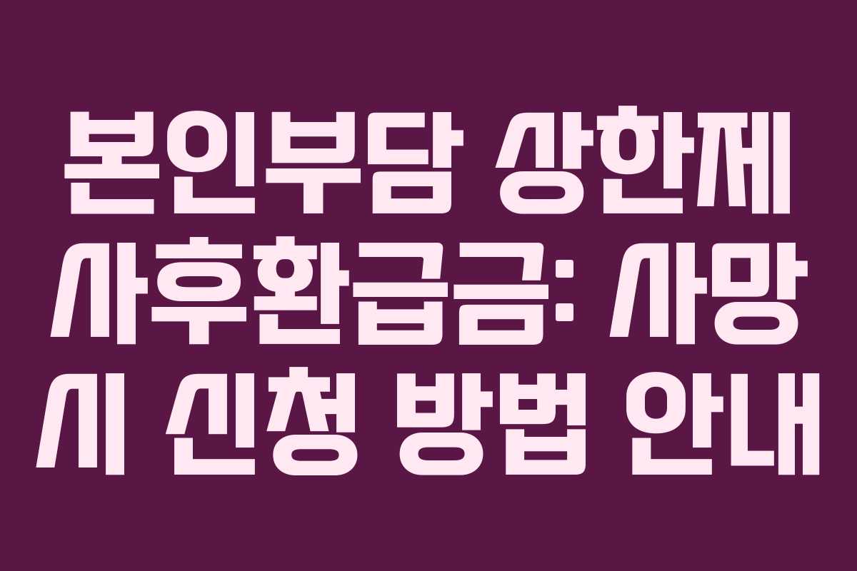 본인부담 상한제 사후환급금: 사망 시 신청 방법 안내