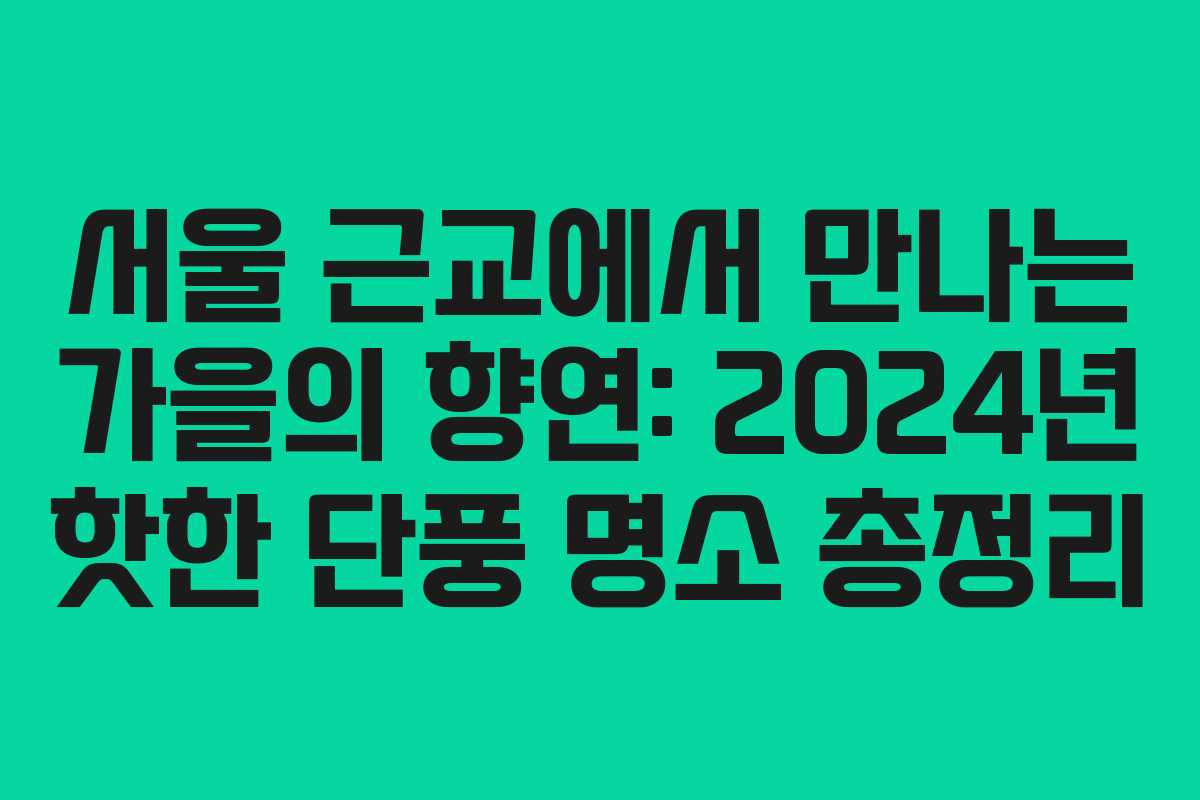 서울 근교에서 만나는 가을의 향연: 2024년 핫한 단풍 명소 총정리