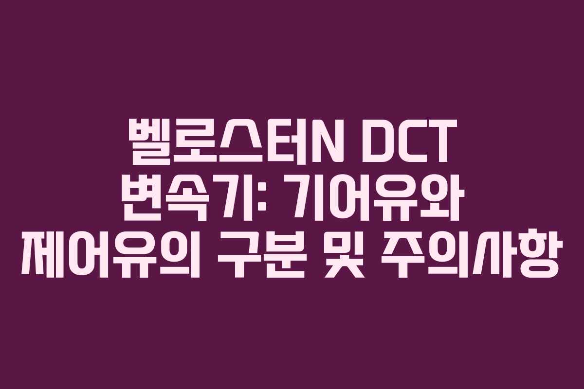 벨로스터N DCT 변속기: 기어유와 제어유의 구분 및 주의사항