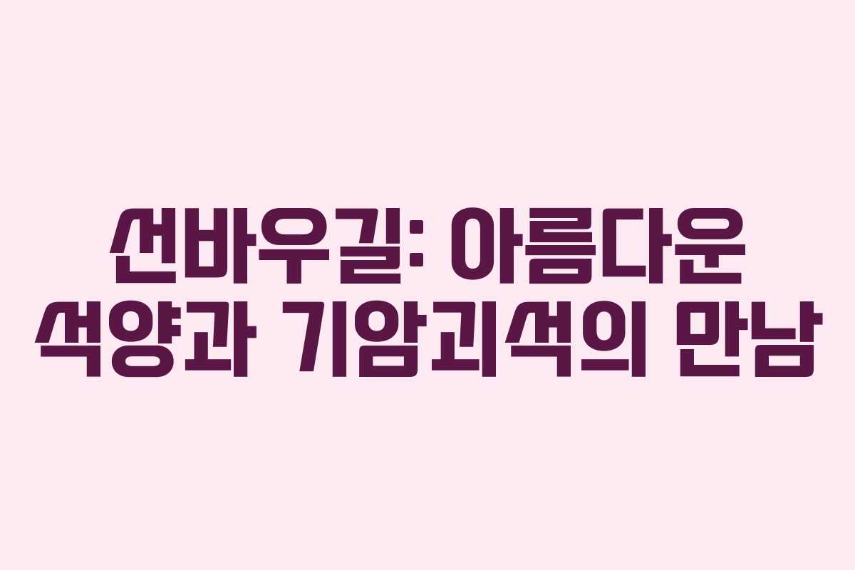 선바우길: 아름다운 석양과 기암괴석의 만남