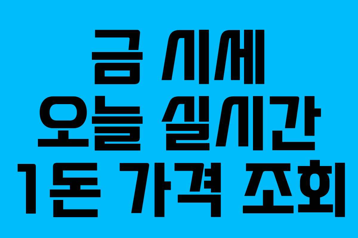 금 시세 오늘 실시간 1돈 가격 조회 금 시세 오늘 실시간 1돈 가격 조회