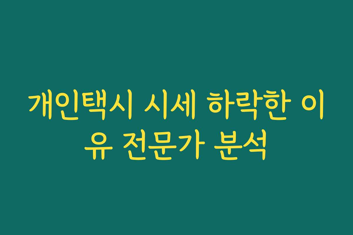 개인택시 시세 하락한 이유 전문가 분석 개인택시 시세 하락한 이유 전문가 분석
