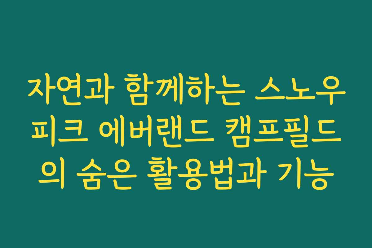 자연과 함께하는 스노우피크 에버랜드 캠프필드의 숨은 활용법과 기능