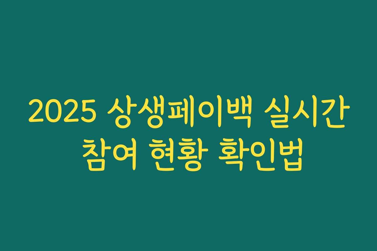 2025 상생페이백 실시간 참여 현황 확인법 2025 상생페이백 실시간 참여 현황 확인법