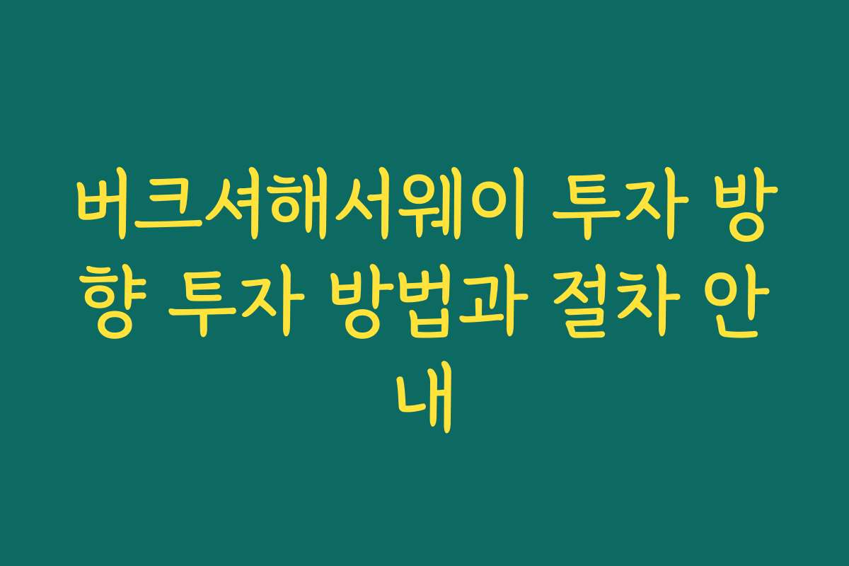 버크셔해서웨이 투자 방향 투자 방법과 절차 안내