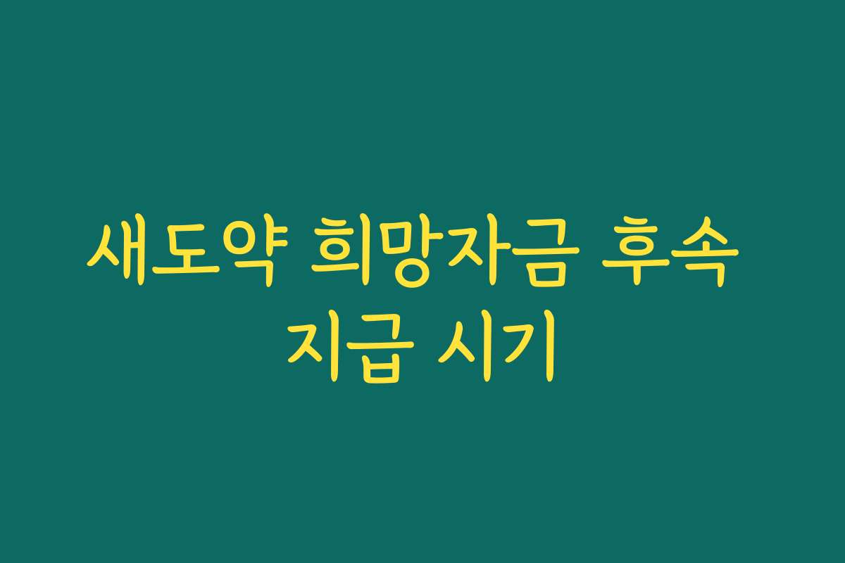 새도약 희망자금 후속 지급 시기