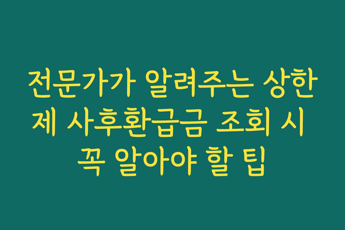 전문가가 알려주는 상한제 사후환급금 조회 시 꼭 알아야 할 팁