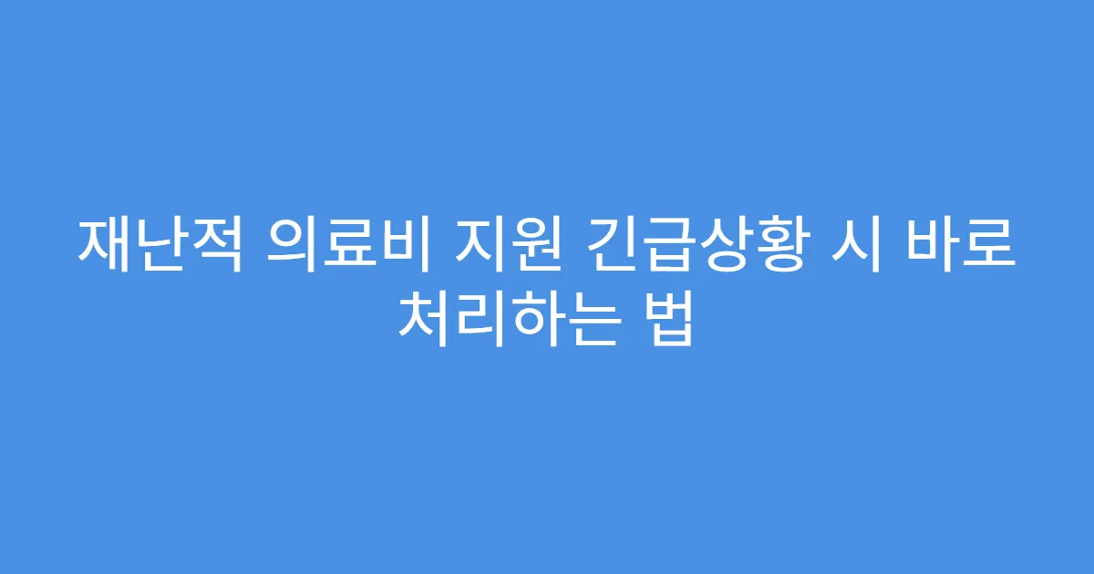 재난적 의료비 지원 긴급상황 시 바로 처리하는 법