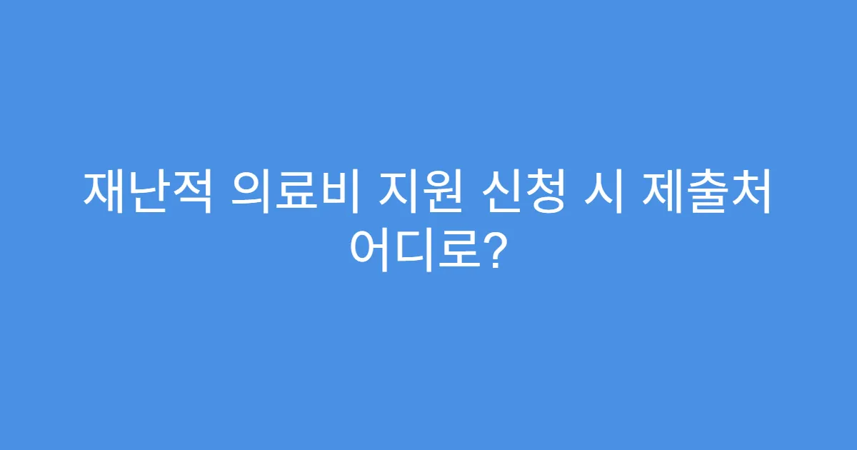 재난적 의료비 지원 신청 시 제출처 어디로?