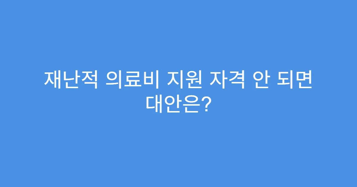 재난적 의료비 지원 자격 안 되면 대안은?