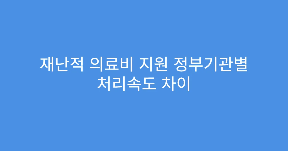 재난적 의료비 지원 정부기관별 처리속도 차이