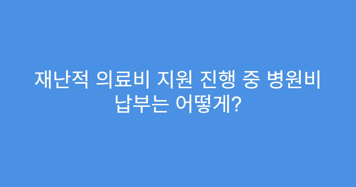 재난적 의료비 지원 진행 중 병원비 납부는 어떻게?