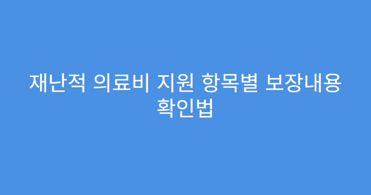 재난적 의료비 지원 항목별 보장내용 확인법