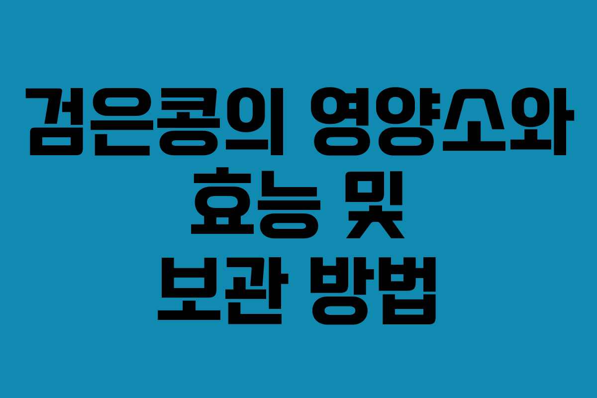 검은콩의 영양소와 효능 및 보관 방법 검은콩의 영양소와 효능 및 보관 방법