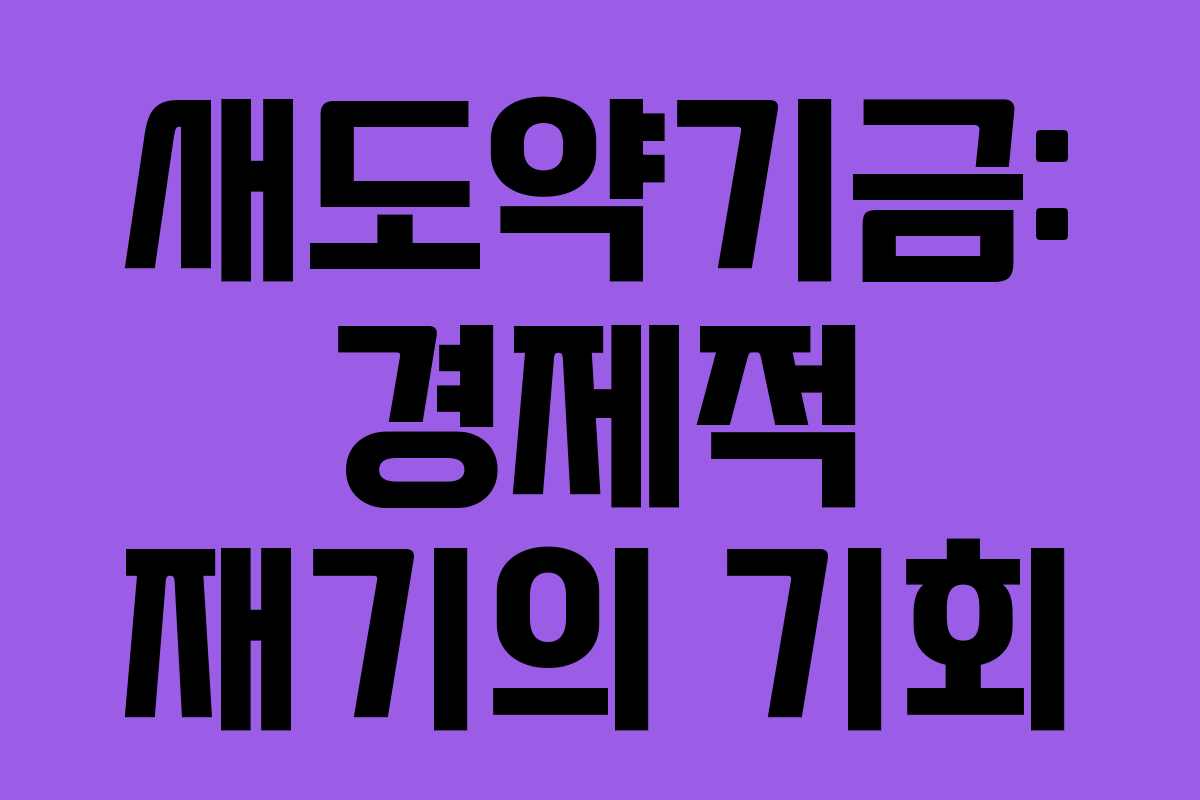 새도약기금: 경제적 재기의 기회