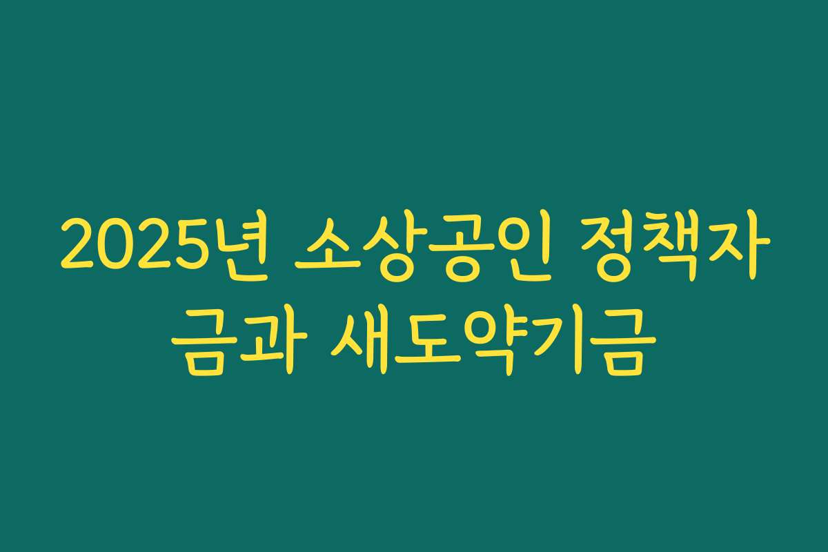 2025년 소상공인 정책자금과 새도약기금