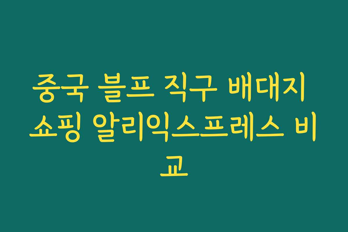 중국 블프 직구 배대지 쇼핑 알리익스프레스 비교