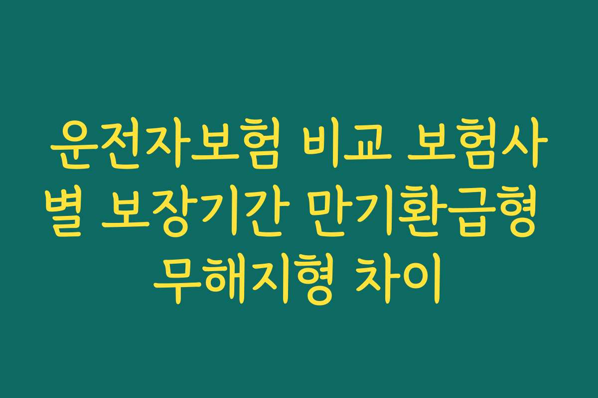 운전자보험 비교 보험사별 보장기간 만기환급형 무해지형 차이