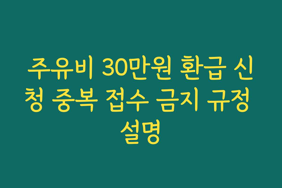주유비 30만원 환급 신청 중복 접수 금지 규정 설명