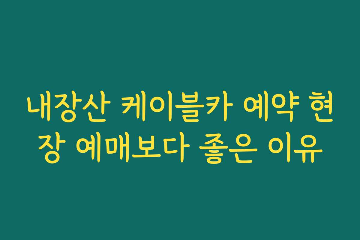 내장산 케이블카 예약 현장 예매보다 좋은 이유