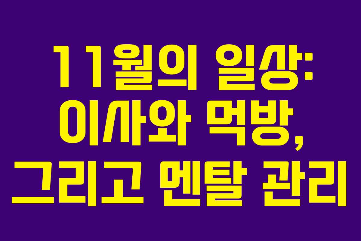 11월의 일상: 이사와 먹방, 그리고 멘탈 관리