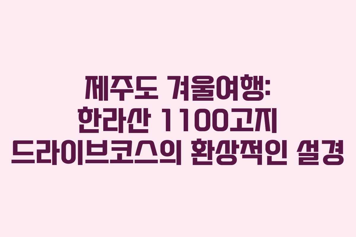 제주도 겨울여행: 한라산 1100고지 드라이브코스의 환상적인 설경
