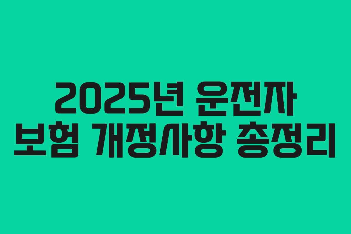 2025년 운전자 보험 개정사항 총정리