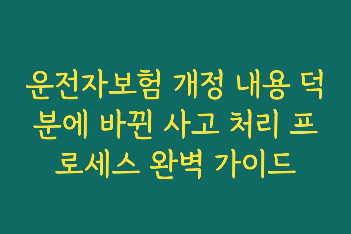 운전자보험 개정 내용 덕분에 바뀐 사고 처리 프로세스 완벽 가이드