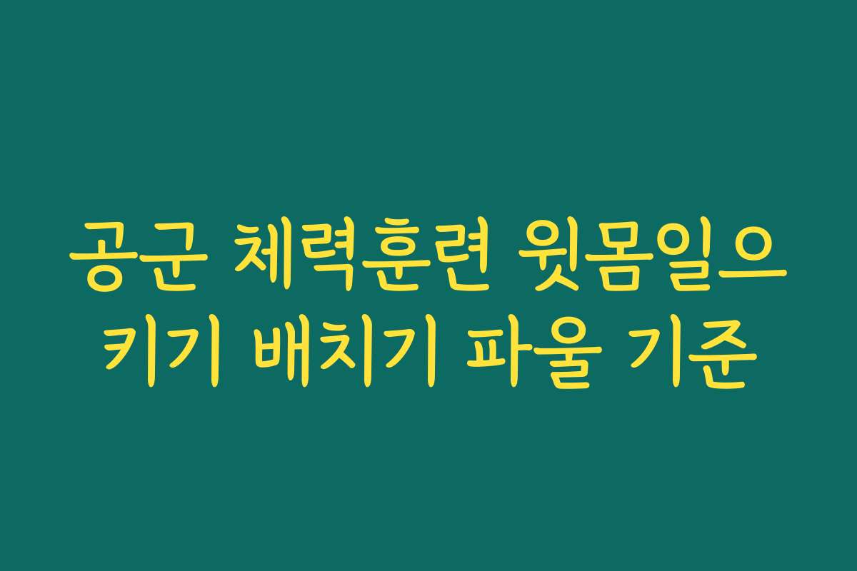 공군 체력훈련 윗몸일으키기 배치기 파울 기준