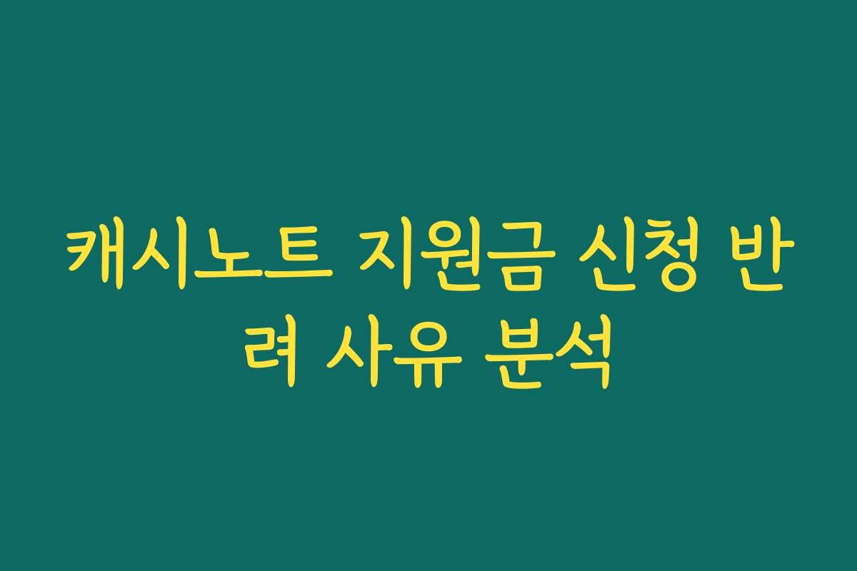 캐시노트 지원금 신청 반려 사유 분석