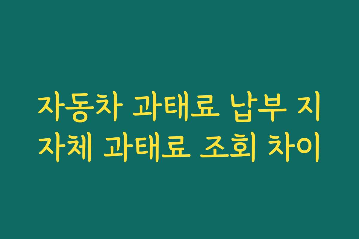 자동차 과태료 납부 지자체 과태료 조회 차이