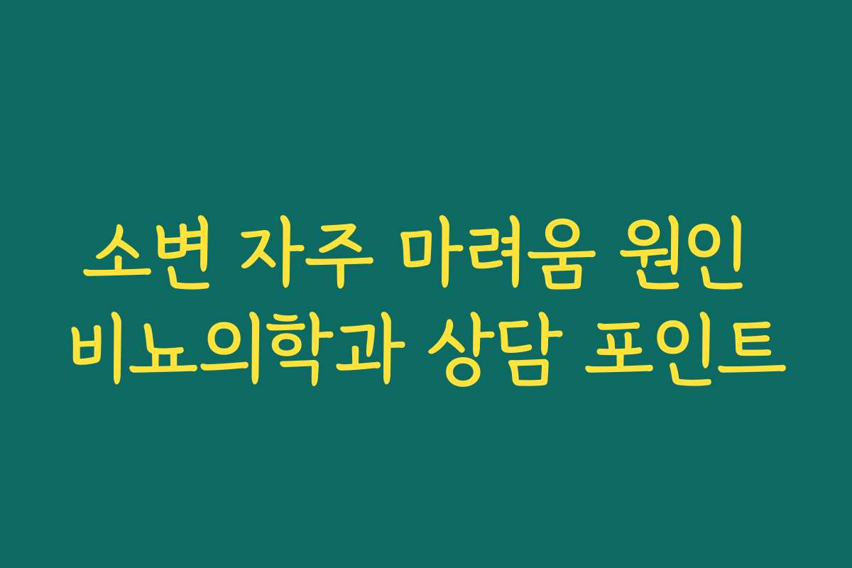 소변 자주 마려움 원인 비뇨의학과 상담 포인트