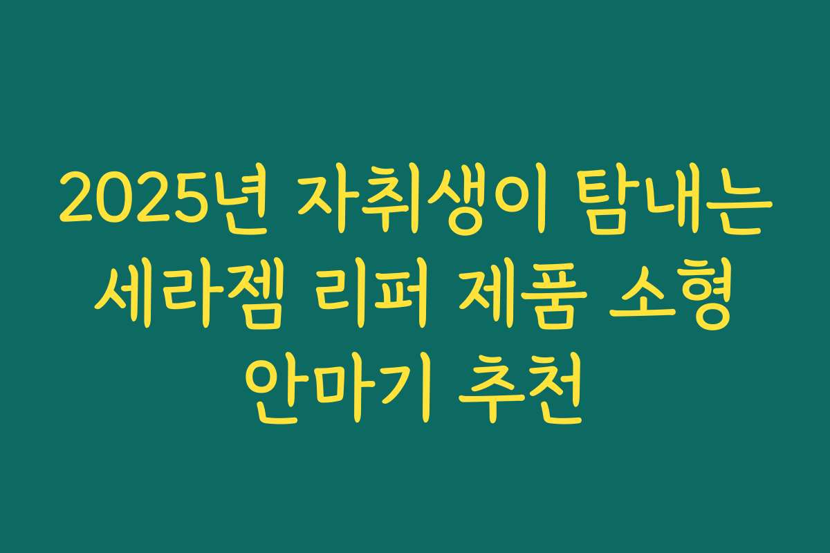 2025년 자취생이 탐내는 세라젬 리퍼 제품 소형 안마기 추천